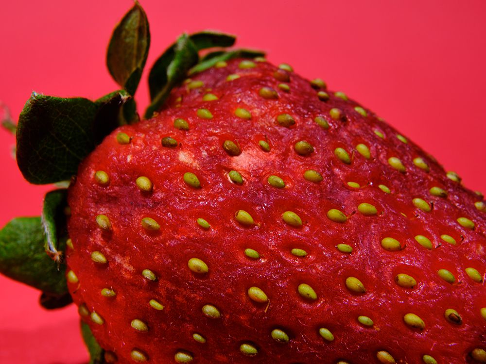 Strawberry Isolated On Red Background art print by Engin Akyurt for $57.95 CAD