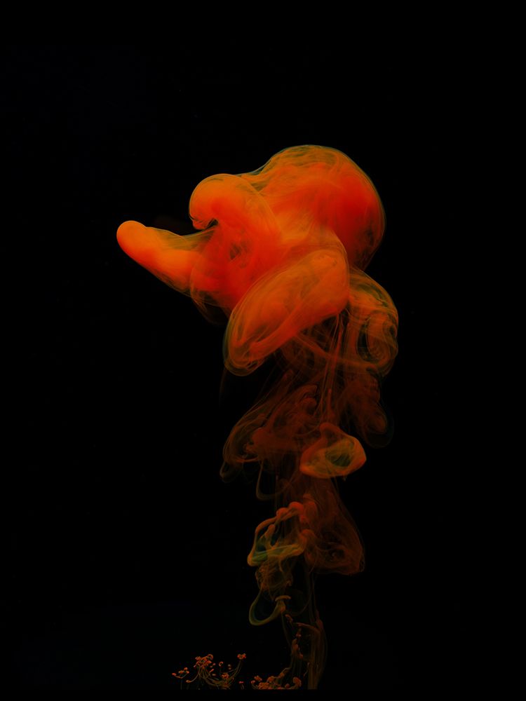 Abstract Color Paint Splash art print by Engin Akyurt for $57.95 CAD
