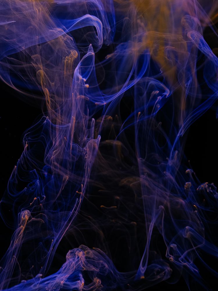 Ink In Water art print by Engin Akyurt for $57.95 CAD
