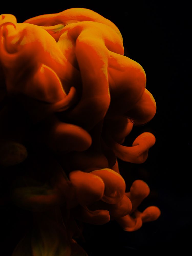 Ink In Water art print by Engin Akyurt for $57.95 CAD