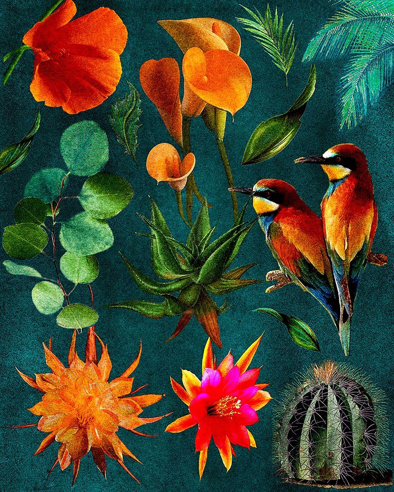 Cactus Collage.png art print by Giovanna Nicolo for $57.95 CAD