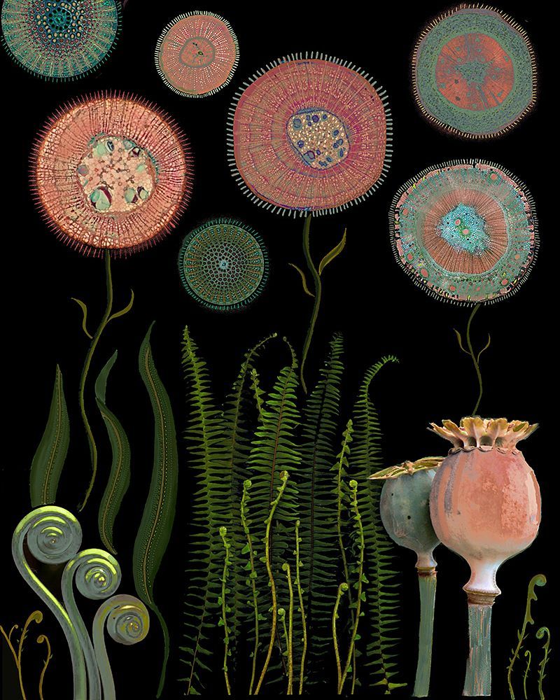 Poppy Garden.png art print by Giovanna Nicolo for $57.95 CAD