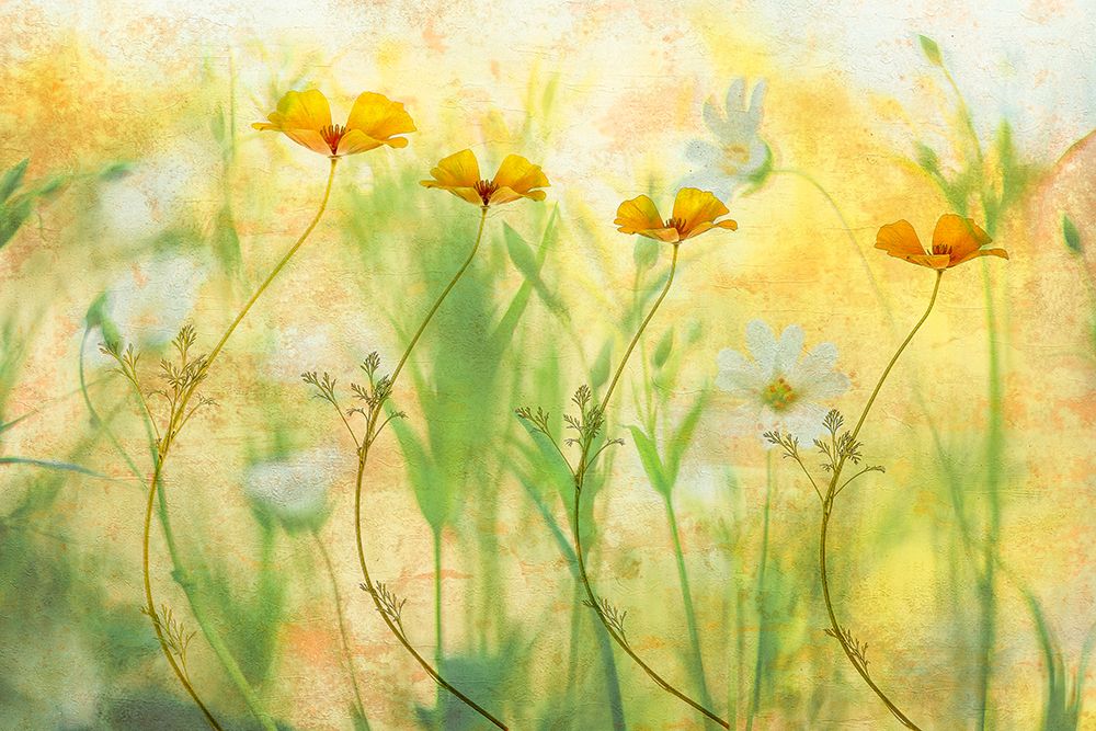 Twisting All Day art print by van der Hilda for $57.95 CAD