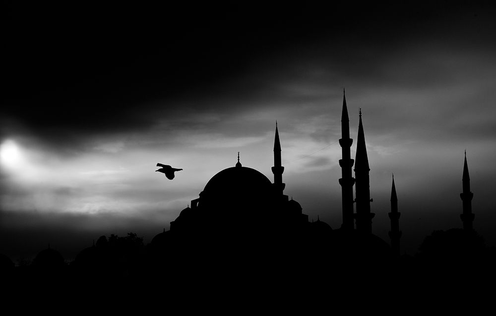 A Historical Mosque In Istanbul City art print by Engin Akyurt for $57.95 CAD