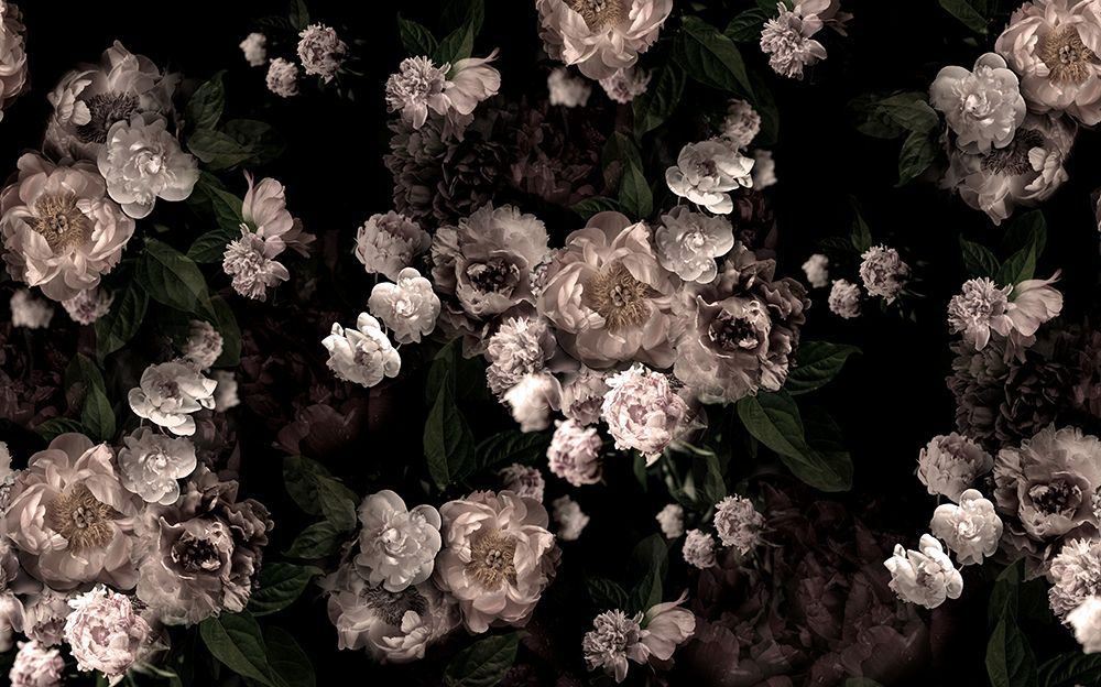 Hl001  Black Roses 4806mm X 3000mm art print by Hendon Lane for $57.95 CAD