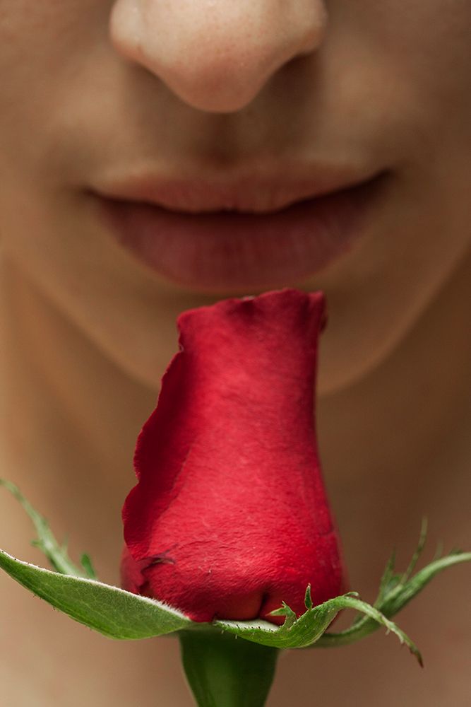 Rose And Woman art print by Engin Akyurt for $57.95 CAD
