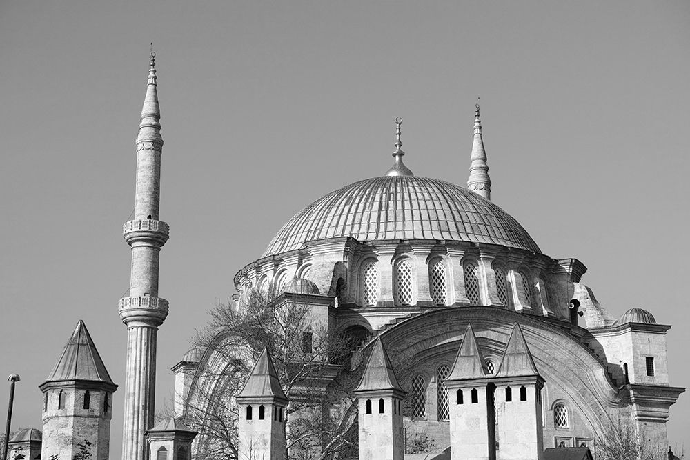 Historical Mosque From Istanbul, Turkey art print by Engin Akyurt for $57.95 CAD