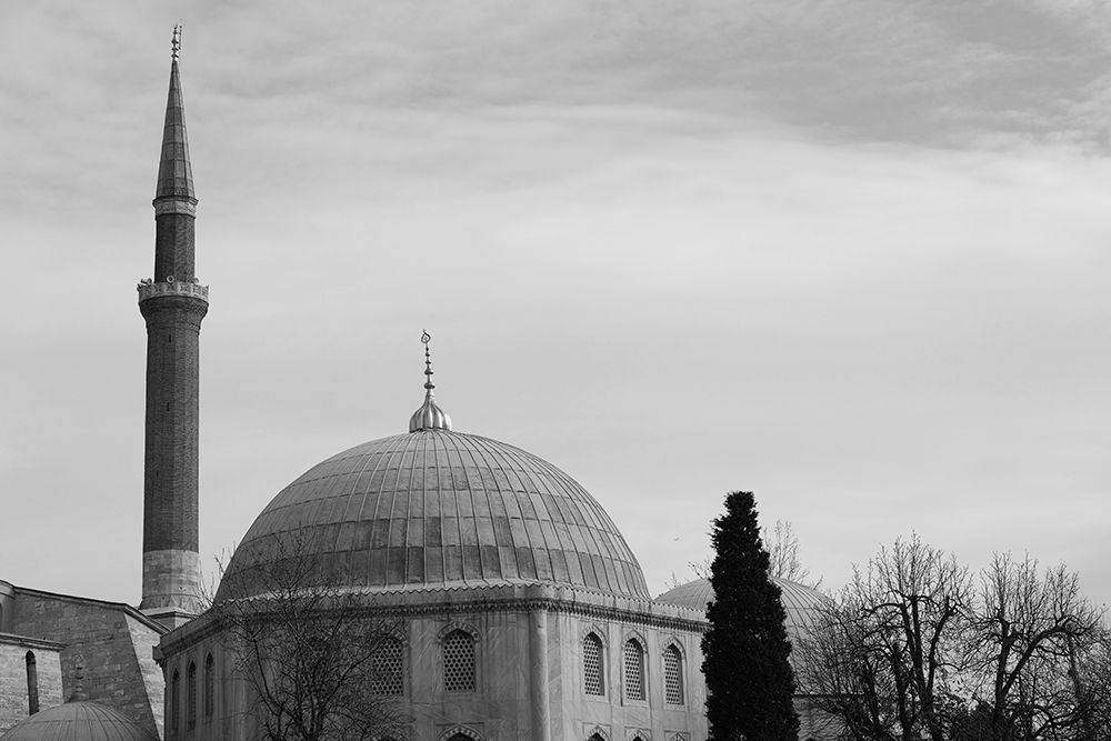 Historical Mosque From Istanbul, Turkey art print by Engin Akyurt for $57.95 CAD