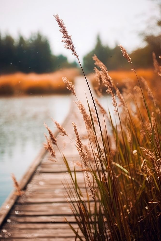 By The Lake art print by Treechild for $57.95 CAD