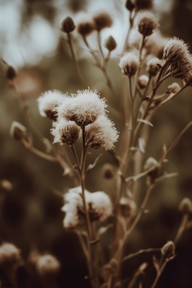 Low Light Nature No 5 art print by Treechild for $57.95 CAD