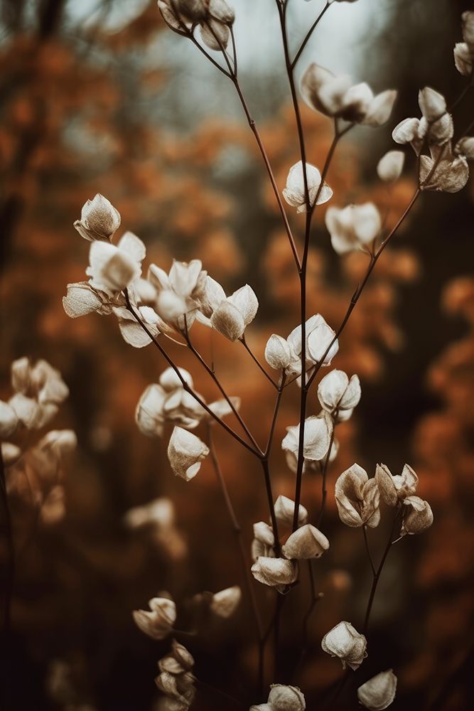 Low Light Nature No 3 art print by Treechild for $57.95 CAD