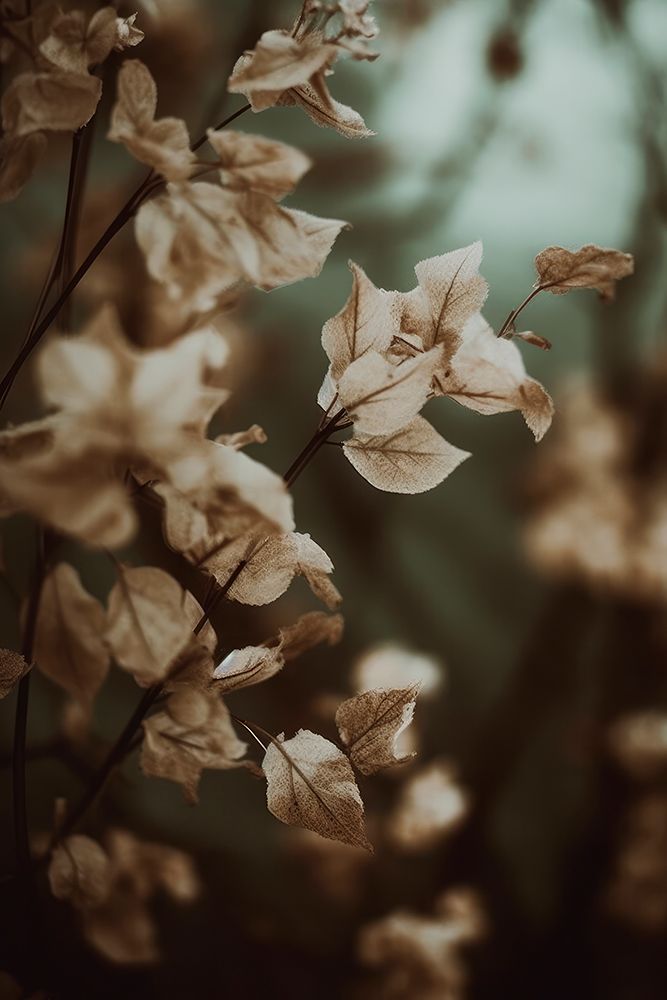 Low Light Nature No 2 art print by Treechild for $57.95 CAD
