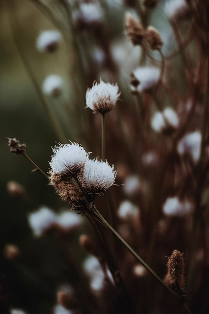 Low Light Nature art print by Treechild for $57.95 CAD