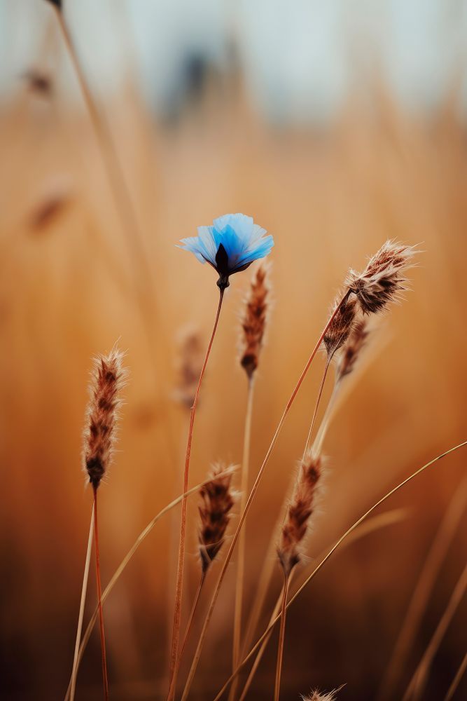 Blue Corn Flower art print by Treechild for $57.95 CAD