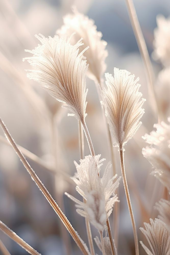 Pastel Nature Macro No 9 art print by Treechild for $57.95 CAD