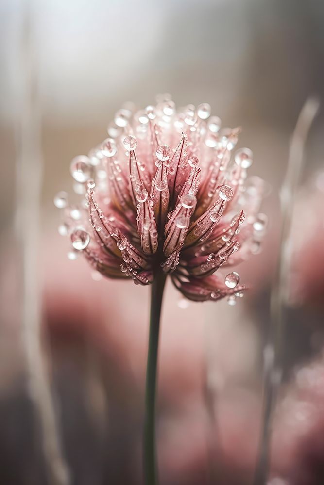 Pastelnaturemacrono4 Fullsize art print by Treechild for $57.95 CAD