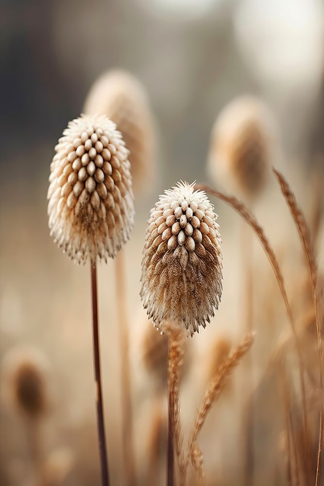 Pastel Nature Detail No 2 art print by Treechild for $57.95 CAD