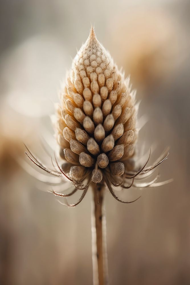 Pastel Nature Detail art print by Treechild for $57.95 CAD
