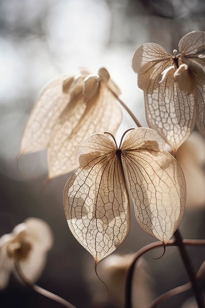 Butterfly Flower art print by Treechild for $57.95 CAD