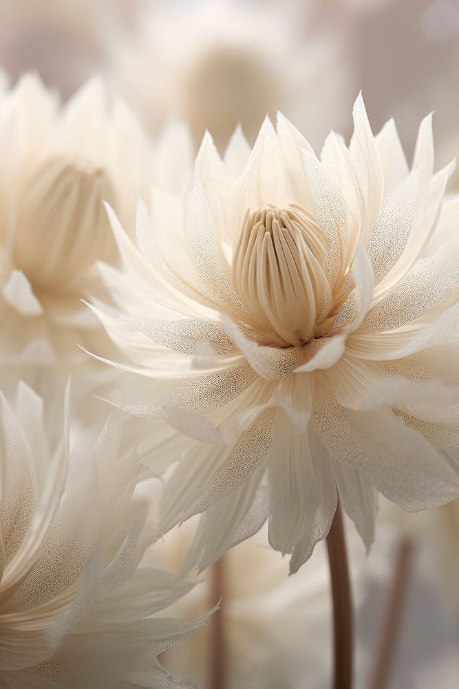 Pastel Nature Macro No6 art print by Treechild for $57.95 CAD