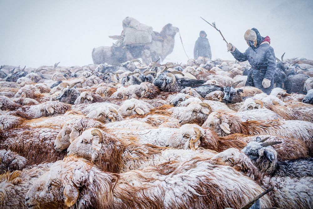 Winter Migration And Snow Blizzards art print by Hirak Bhattacharjee for $57.95 CAD