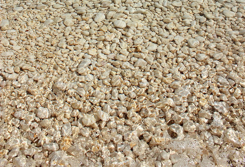 Golden Pebbles And Clear Water art print by Alyson Fennell for $57.95 CAD