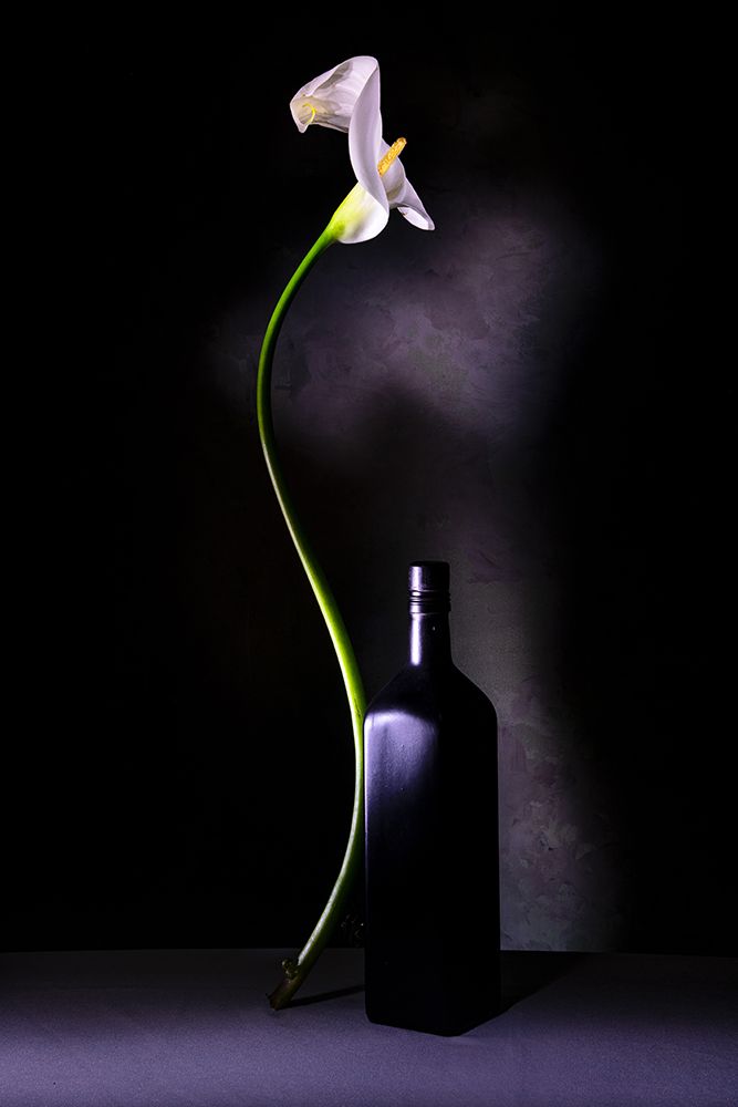 Calla Ubriaca art print by Felice Angelino for $57.95 CAD