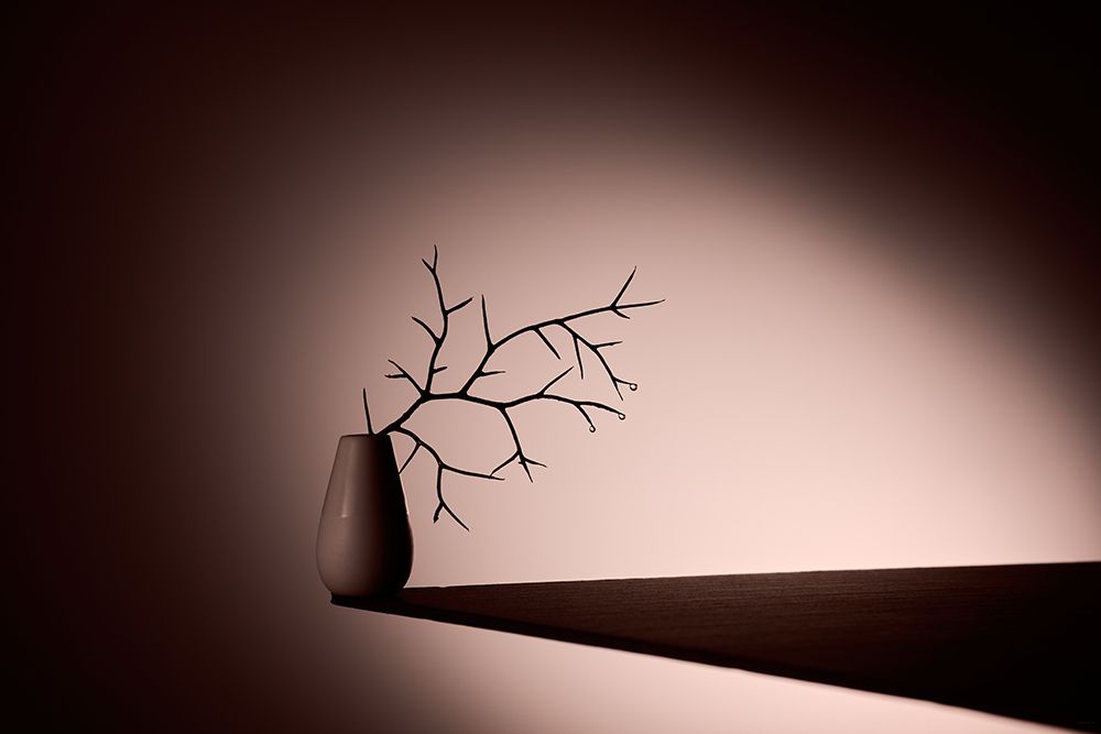 Triplled art print by Drazen Sokac for $57.95 CAD