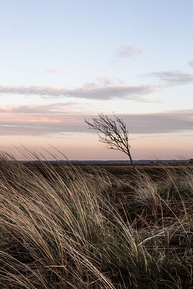 At The Coast 4 art print by Mareike Bohmer for $57.95 CAD