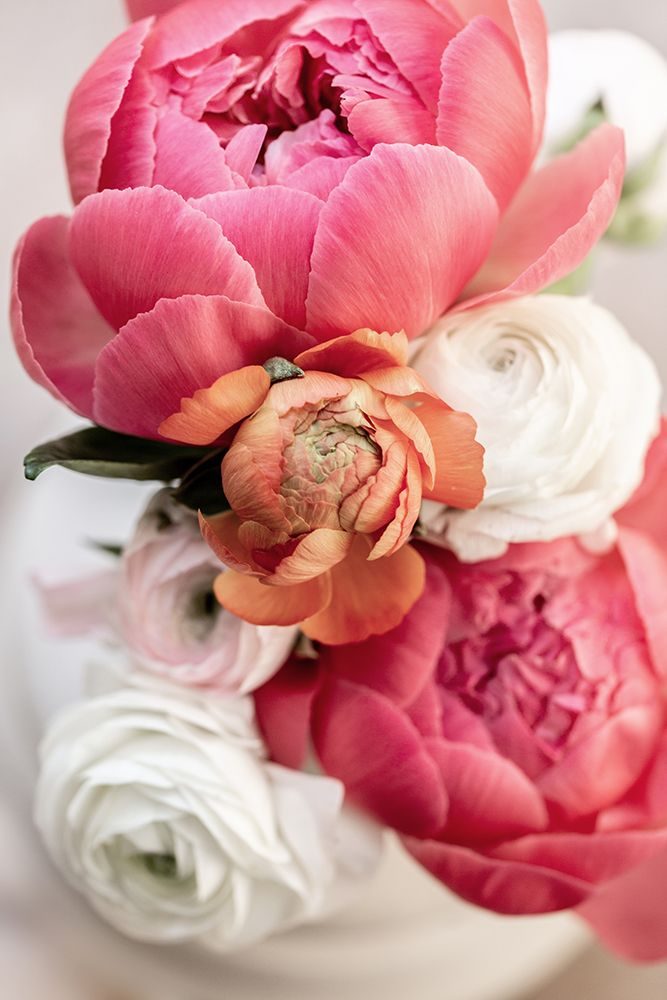 Spring Flowers 1 art print by Mareike Bohmer for $57.95 CAD