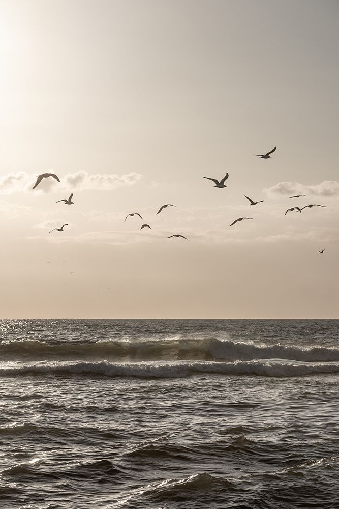 Birds And The Sea 3 art print by Mareike Bohmer for $57.95 CAD
