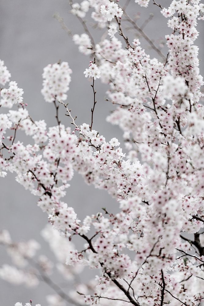 Colorful Spring 6 art print by Mareike Bohmer for $57.95 CAD