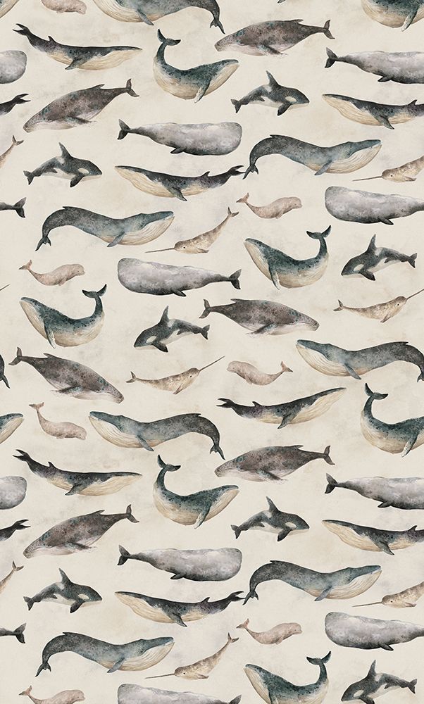 Hl007  Whale   1806mm X 3000mm art print by Hendon Lane for $57.95 CAD