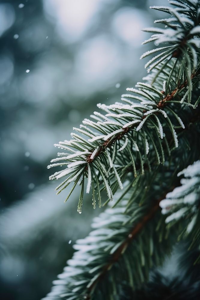 Winter Impressions No 4 art print by Treechild for $57.95 CAD