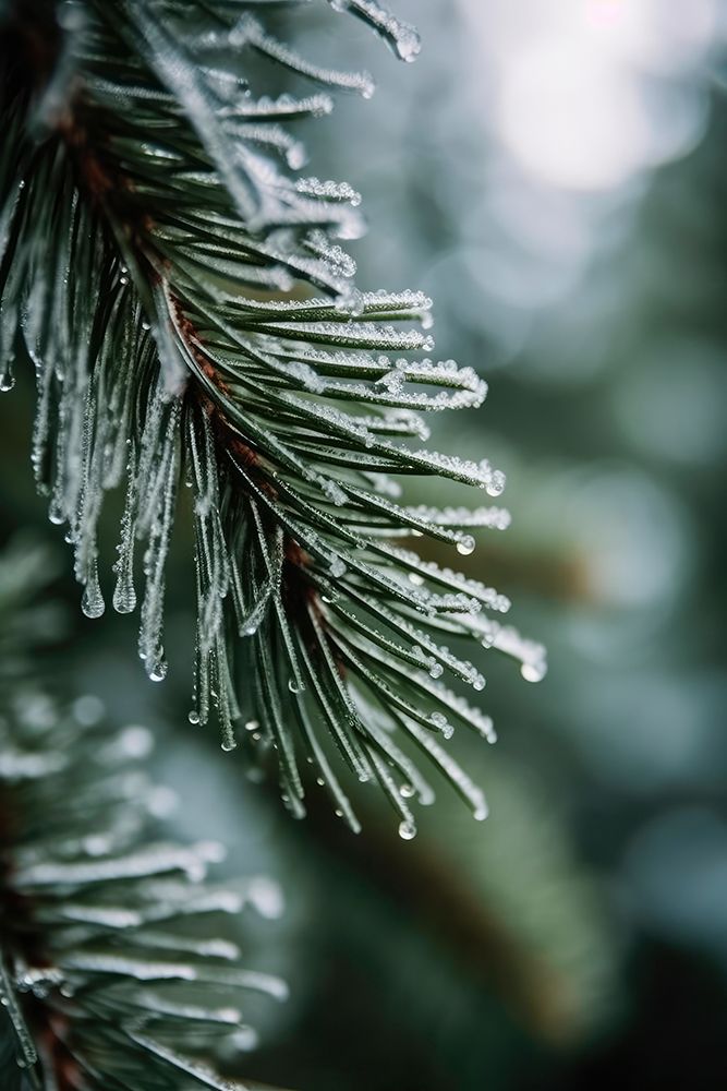 Winter Impressions No 5 art print by Treechild for $57.95 CAD