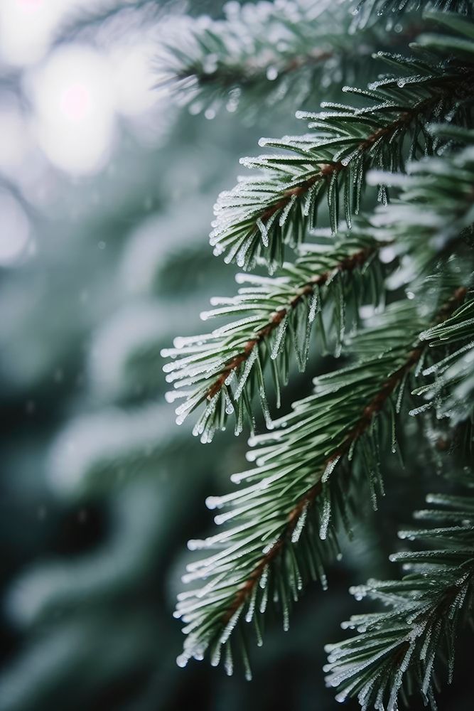 Winter Impressions No 2 art print by Treechild for $57.95 CAD