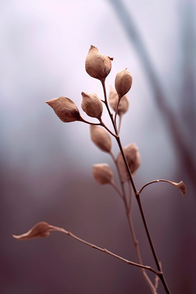 Nature Impressions No 2 art print by Treechild for $57.95 CAD