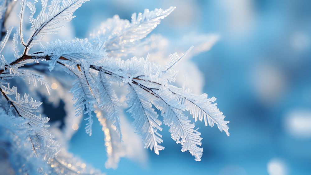 Winter Impressions No 6 art print by Treechild for $57.95 CAD