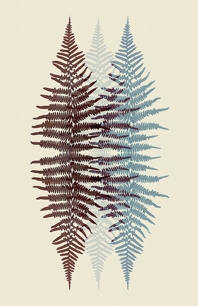 Chocolate and Teal Fern art print by Alyson Fennell for $57.95 CAD