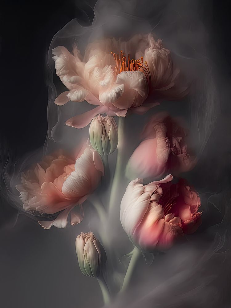 Roses 2 art print by Bilge Paksoylu for $57.95 CAD
