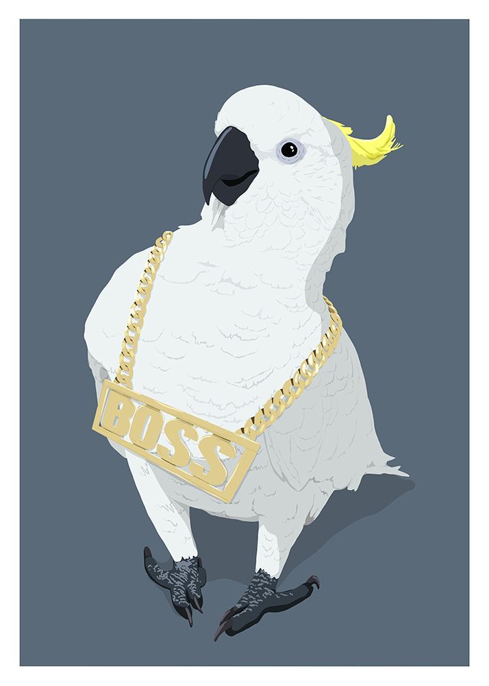 Swag Parrot art print by Kammille Bruun for $57.95 CAD