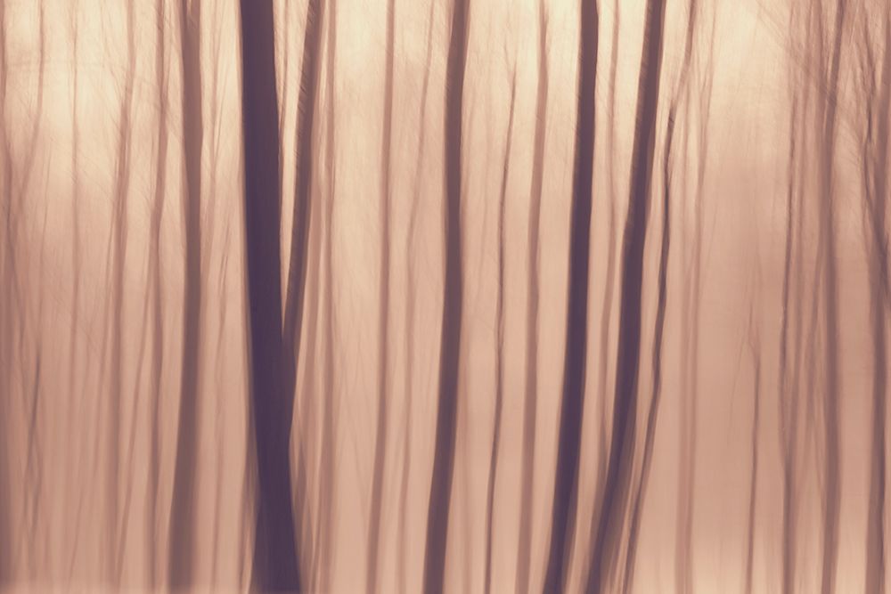 Trees In Forest 9 art print by Bilge Paksoylu for $57.95 CAD