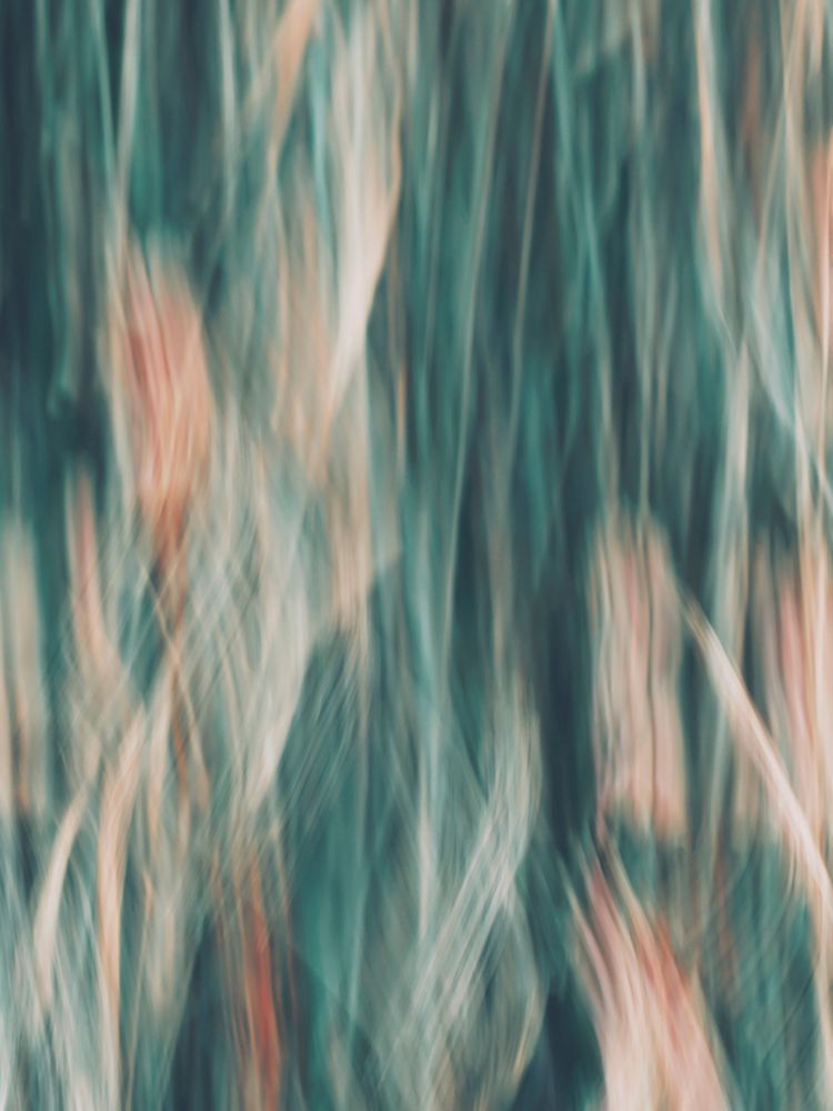 Impressionist Flowers art print by Bilge Paksoylu for $57.95 CAD