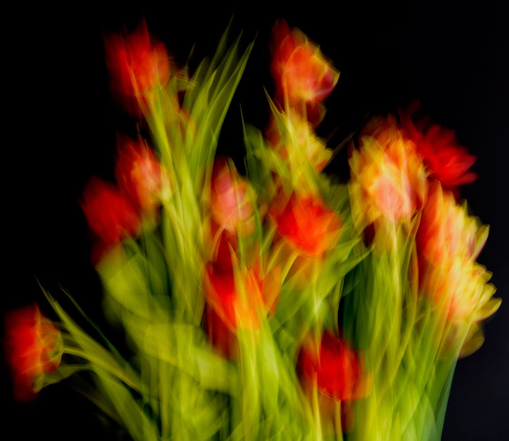 Impressionist Flowers art print by Bilge Paksoylu for $57.95 CAD