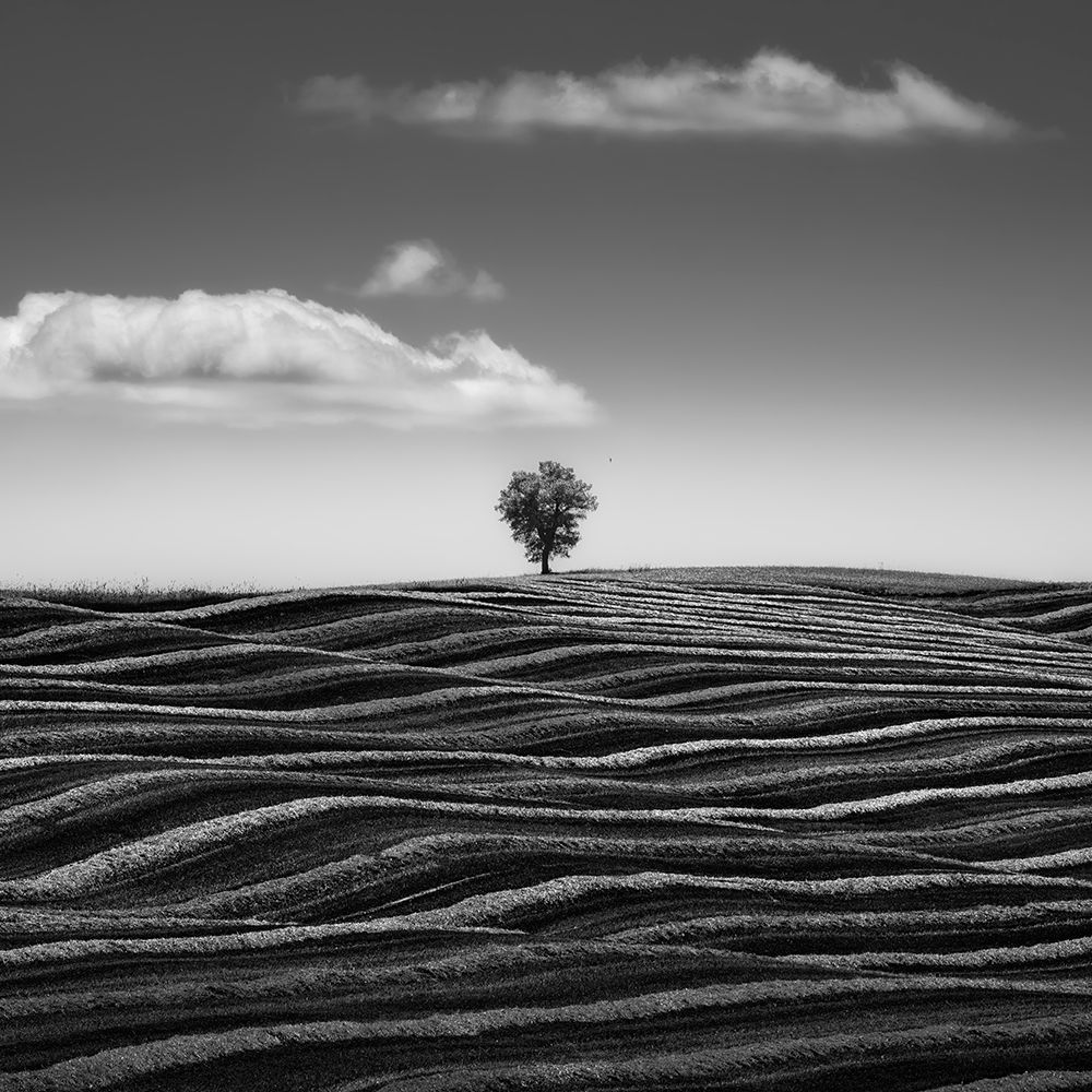 Empire Of Loneliness art print by Thomas de Franzoni for $57.95 CAD