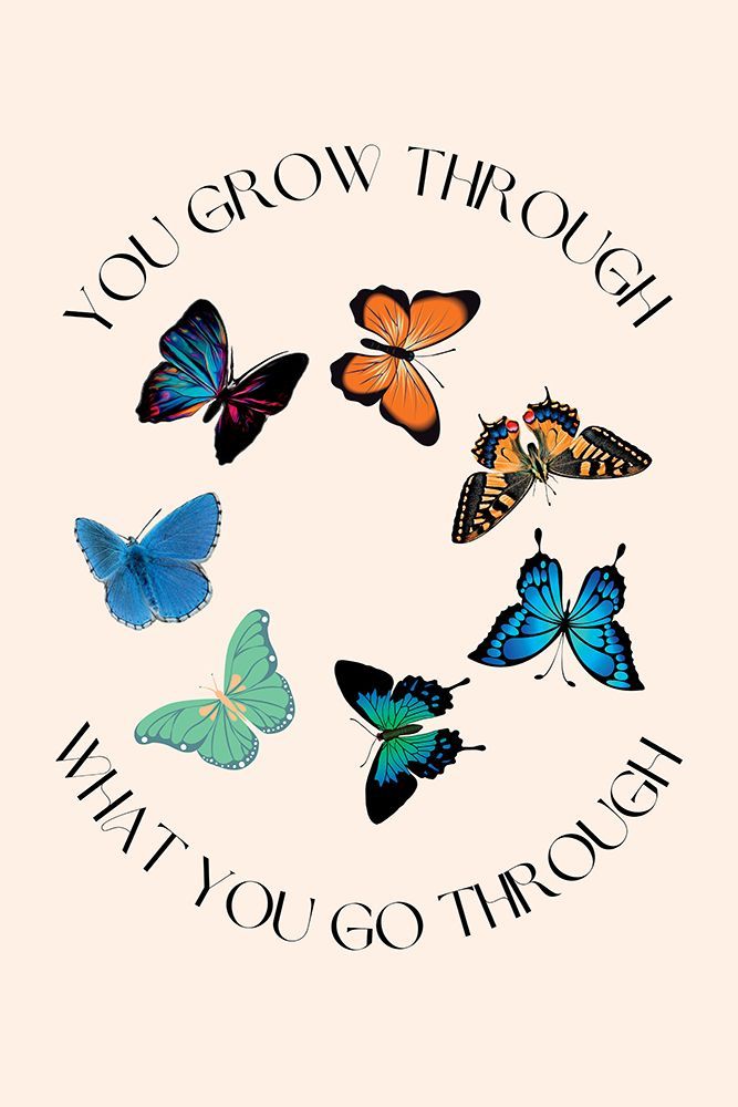 Butterfly Print art print by Nazma Khokhar for $57.95 CAD