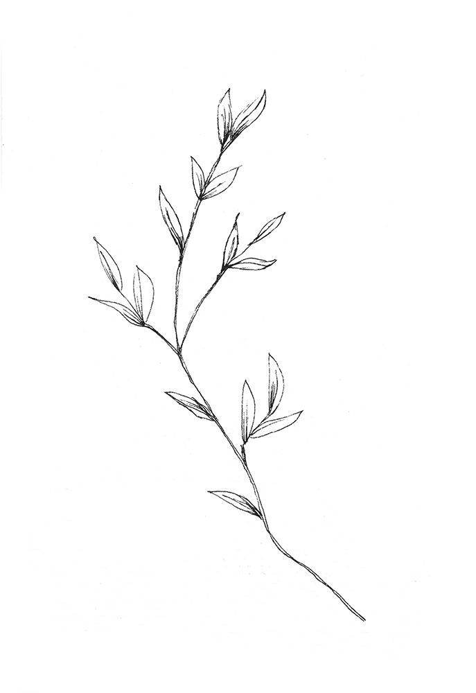 Botanical 4 art print by Lor Muller for $57.95 CAD