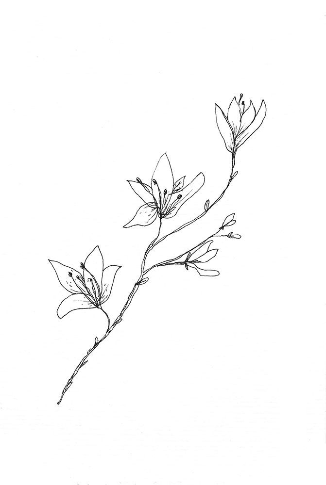 Botanical Trio 1 art print by Lor Muller for $57.95 CAD