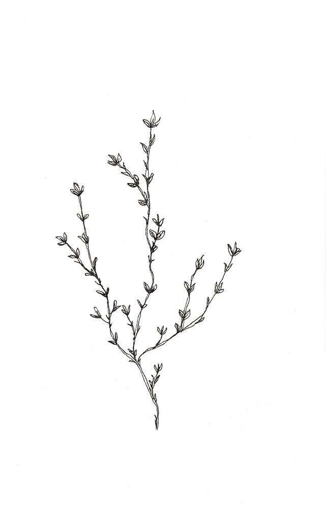 Botanical Trio 2 art print by Lor Muller for $57.95 CAD