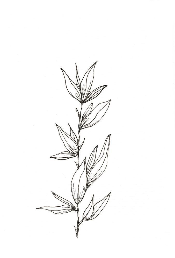Botanical Trio 3 art print by Lor Muller for $57.95 CAD